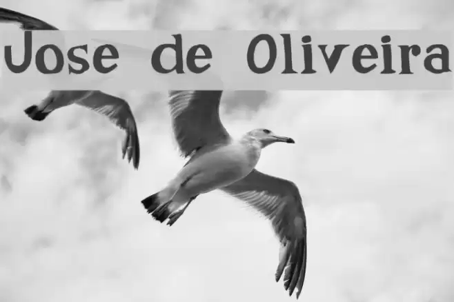 Jose de Oliveira Font examples