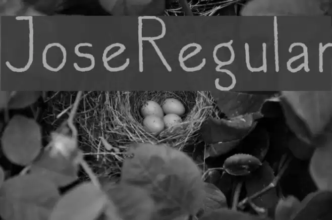JoseRegular Font examples