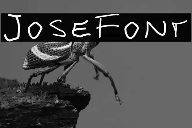 Jose Font examples