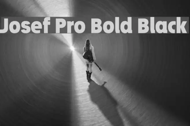Josef Pro Bold Black Font examples