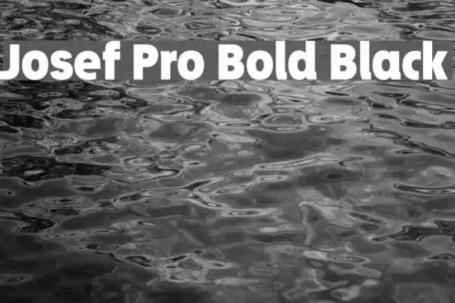 Josef Pro Bold Black Font examples