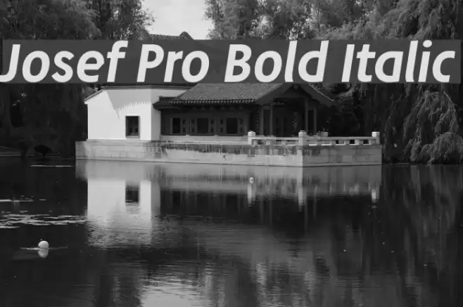 Josef Pro Bold Italic Font examples