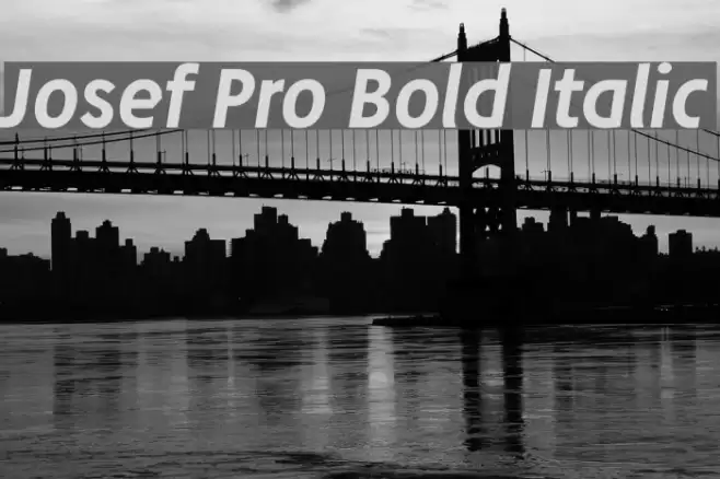 Josef Pro Bold Italic Font examples