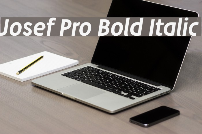 Josef Pro Bold Italic Font examples
