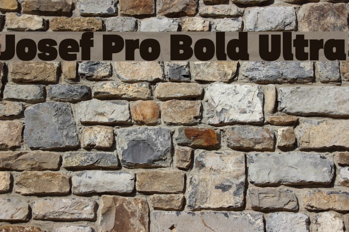 Josef Pro Bold Ultra Font examples