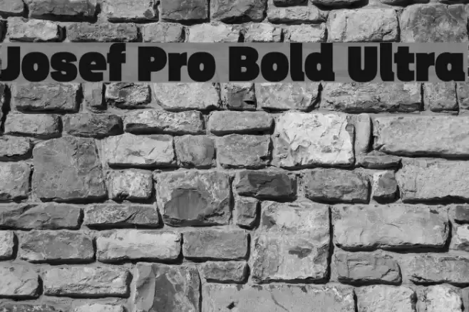 Josef Pro Bold Ultra Font examples