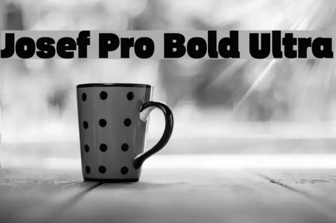 Josef Pro Bold Ultra Font examples