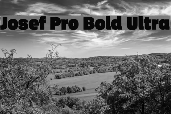 Josef Pro Bold Ultra Font examples