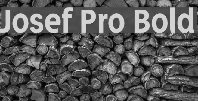 Josef Pro Bold Font examples