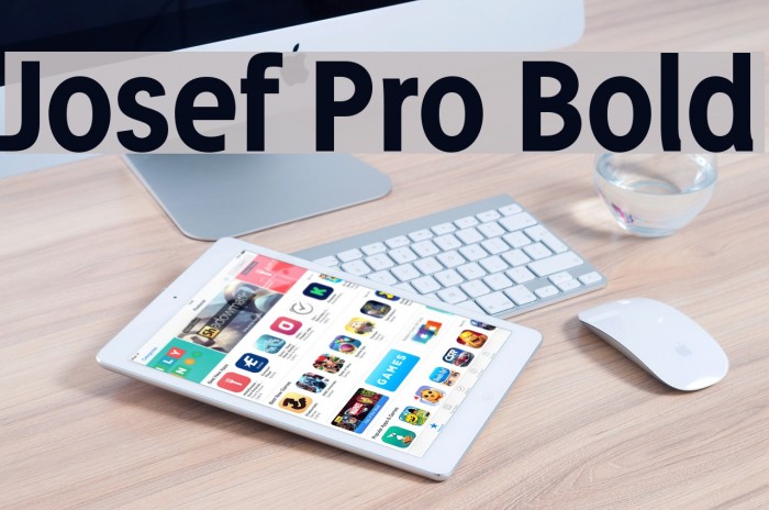 Josef Pro Bold Example 3