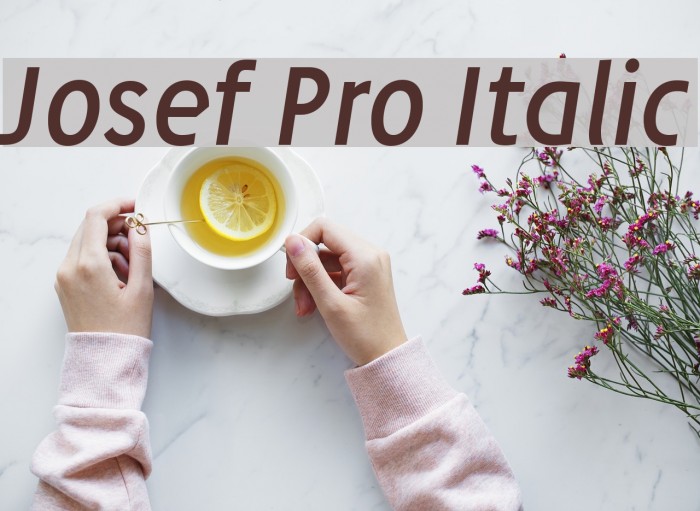 Josef Pro Italic Font examples