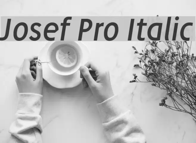 Josef Pro Italic フォント examples