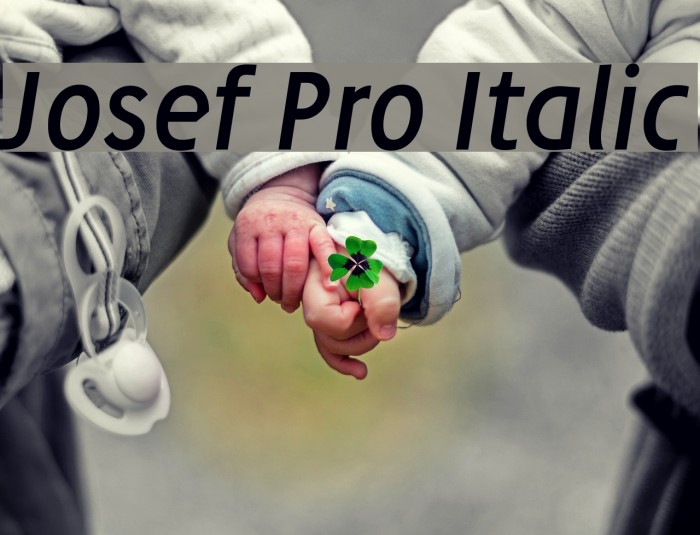 Josef Pro Italic Font examples