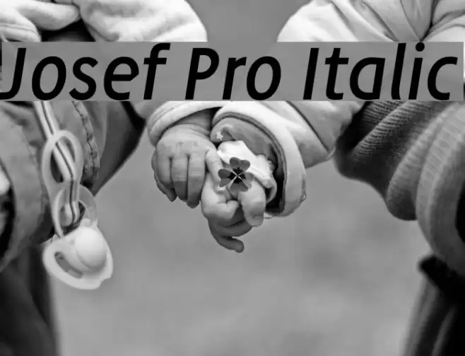 Josef Pro Italic フォント examples
