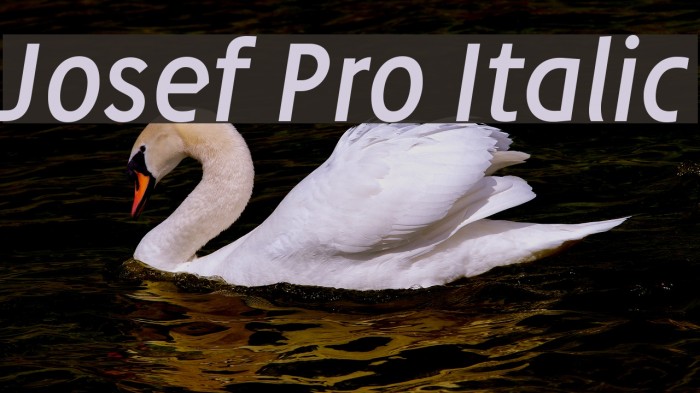 Josef Pro Italic Font examples