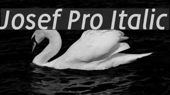 Josef Pro Italic フォント examples