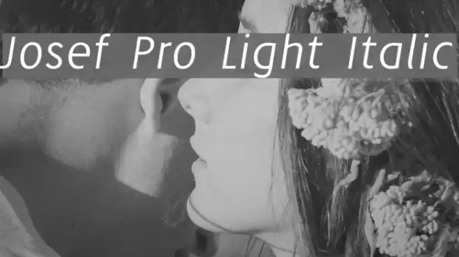 Josef Pro Light Italic Font examples