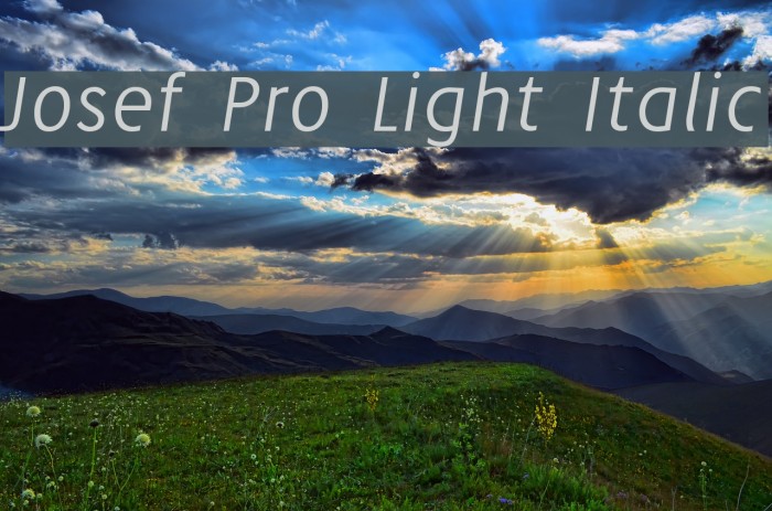 Josef Pro Light Italic Font examples