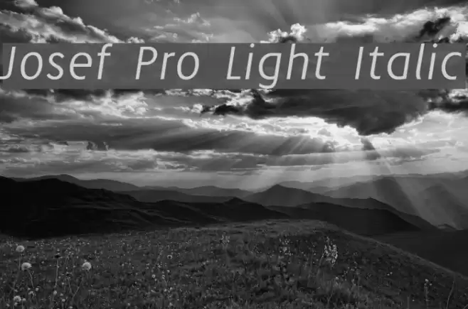 Josef Pro Light Italic Font examples