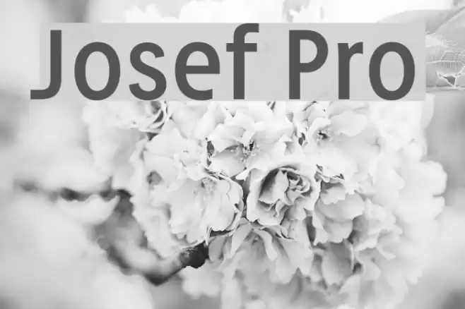 Josef Pro Font examples