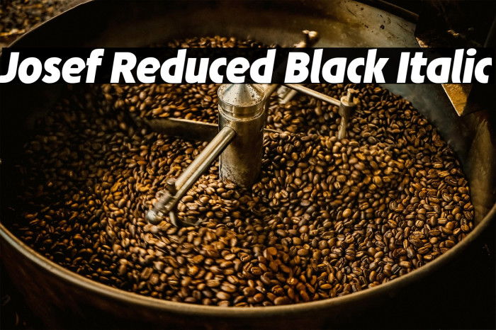 Josef Reduced Black Italic Example 2