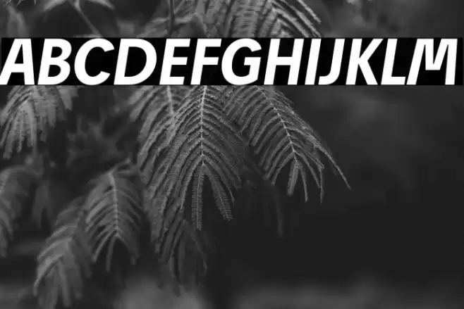 Josef Reduced Bold Italic Font examples