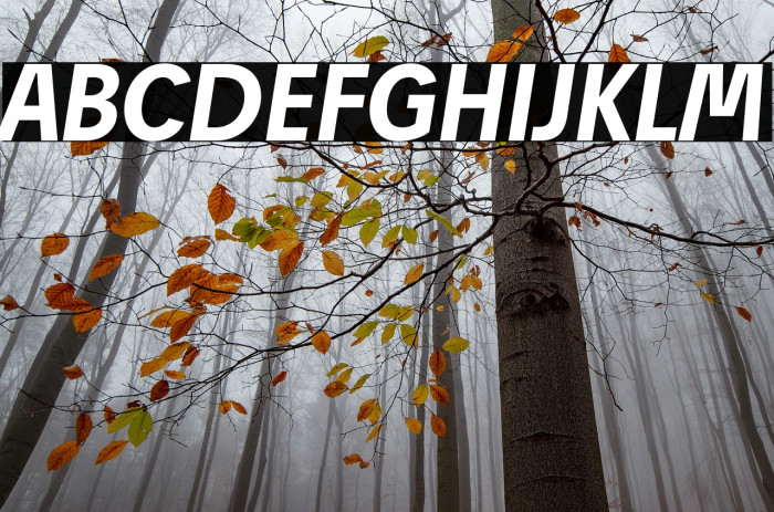 Josef Reduced Bold Italic Example 3