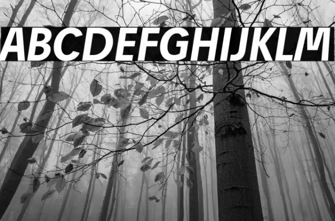 Josef Reduced Bold Italic Font examples