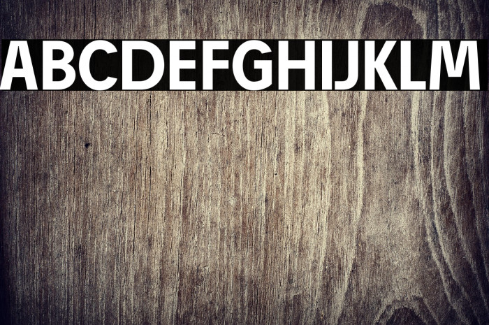 Josef Reduced Bold Example 2