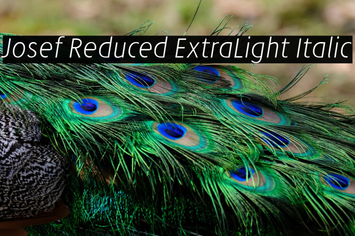 Josef Reduced ExtraLight Italic Example 3