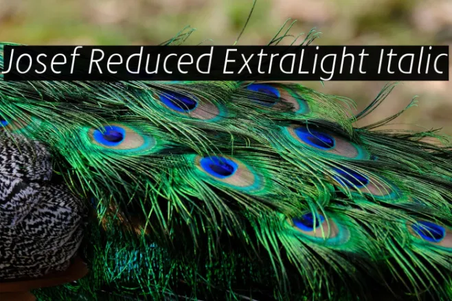 Josef Reduced ExtraLight Italic Example 3