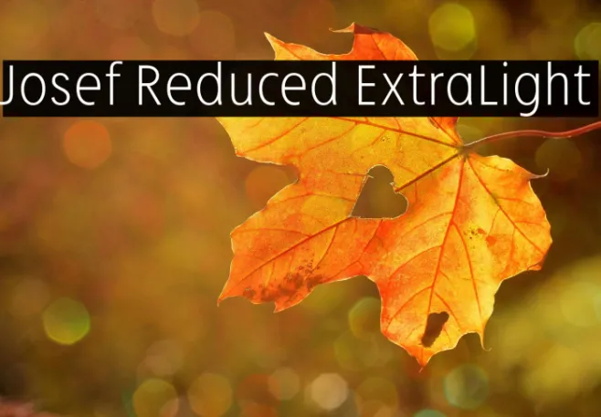 Josef Reduced ExtraLight Example 3