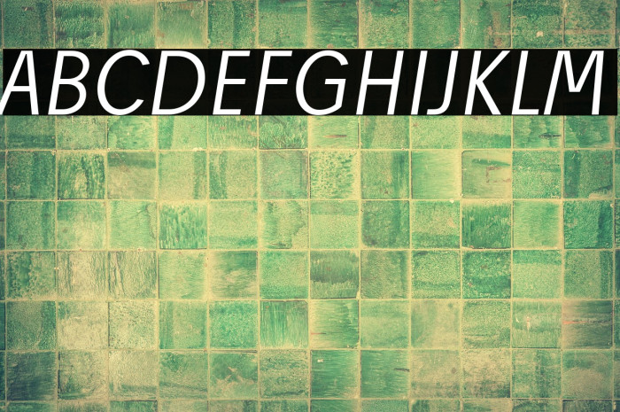 Josef Reduced Light Italic Example 1