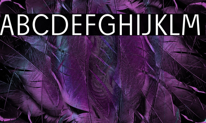 Josef Reduced Light Example 2