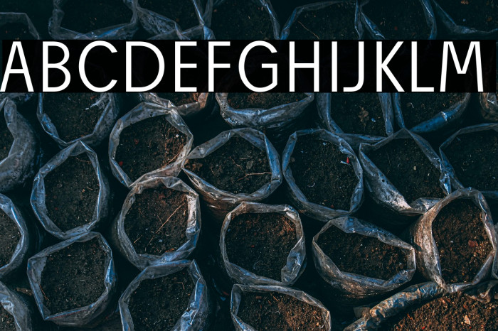 Josef Reduced Light Example 3