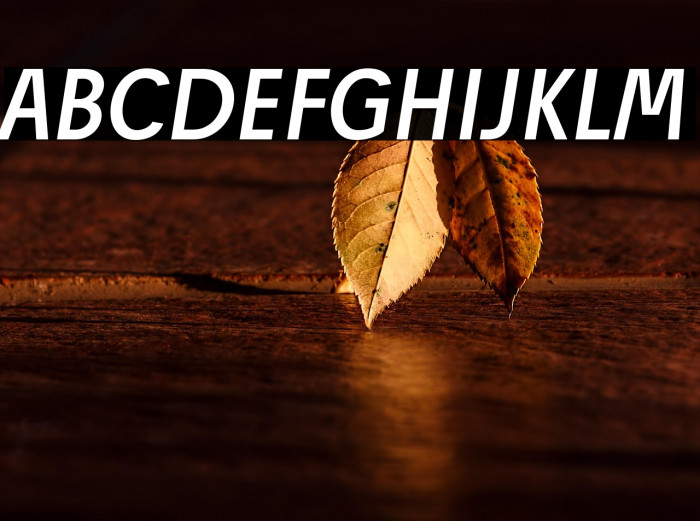 Josef Reduced Regular Italic Example 2