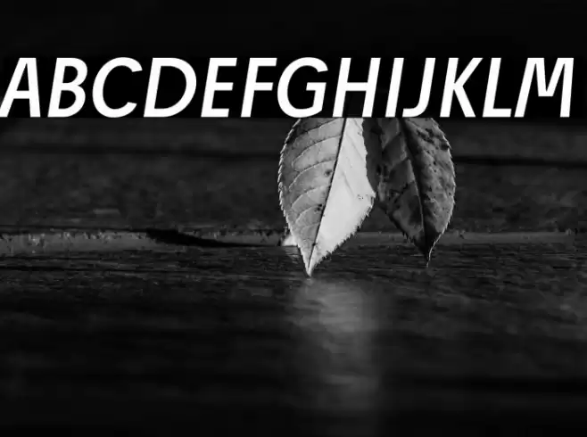 Josef Reduced Regular Italic Font examples