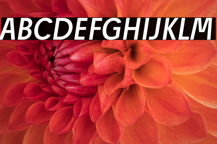 Josef Reduced Regular Italic Example 3