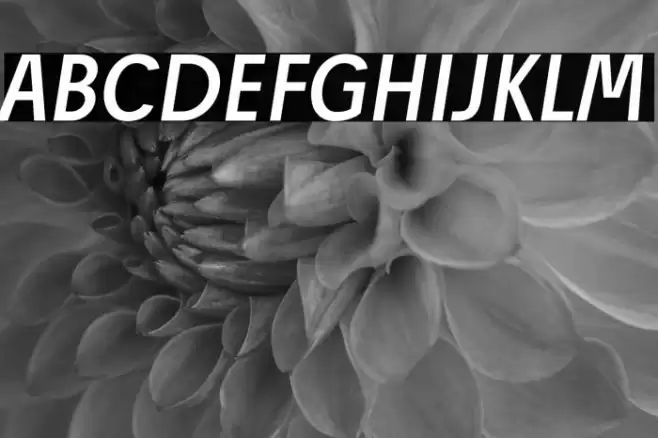 Josef Reduced Regular Italic Font examples