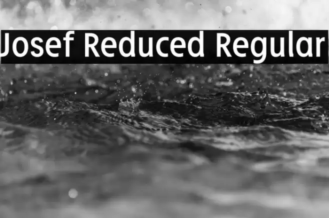 Josef Reduced Regular Font examples