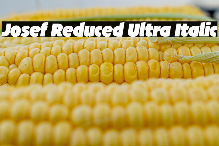 Josef Reduced Ultra Italic Example 1