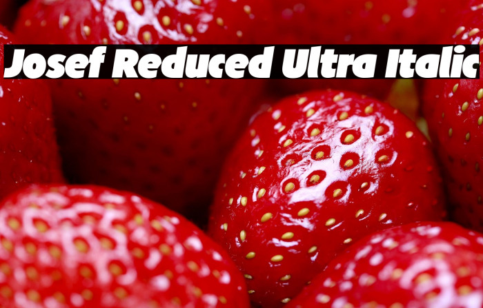 Josef Reduced Ultra Italic Example 3