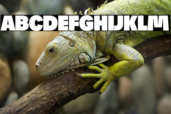 Josef Reduced Ultra Example 2