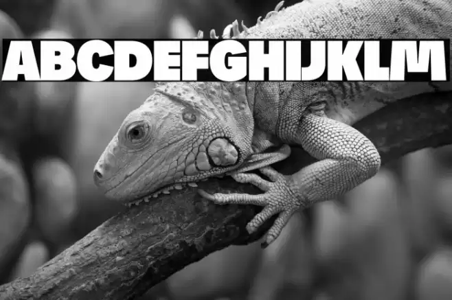 Josef Reduced Ultra Font examples