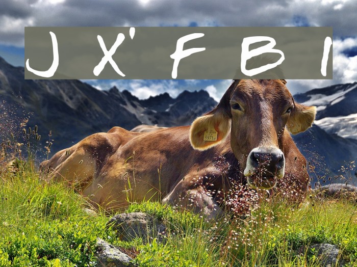 Josef Xuereb's Friends Bold Italic Example 1