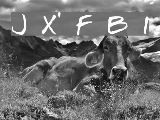 Josef Xuereb's Friends Bold Italic Font examples