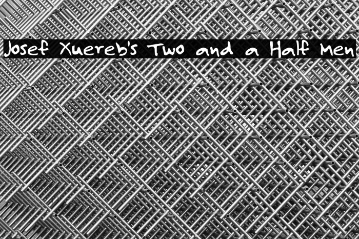 Josef Xuereb's Two and a Half Men Example 1