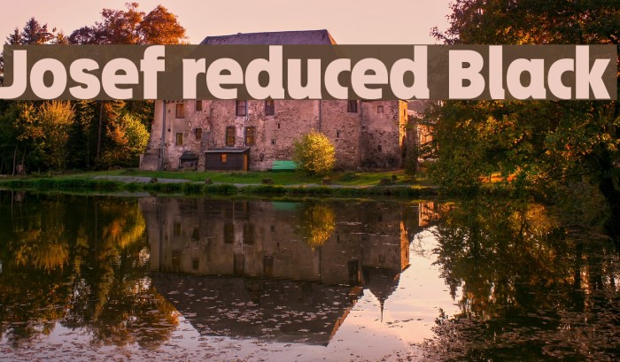 Josef reduced Black Font examples