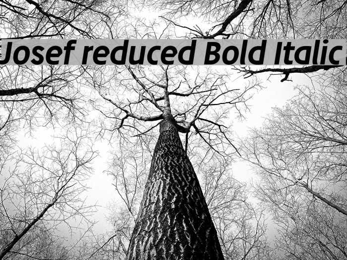 Josef reduced Bold Italic Font examples