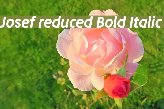 Josef reduced Bold Italic Font examples
